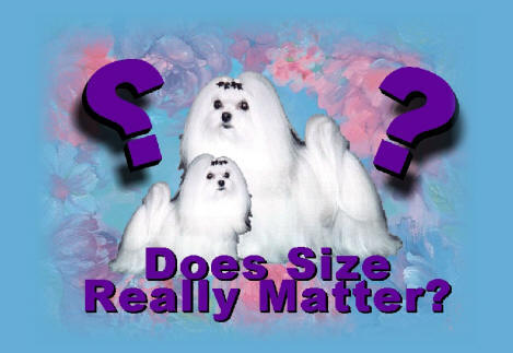 Maltese Dog and Puppy Size/Weight...does it matter??